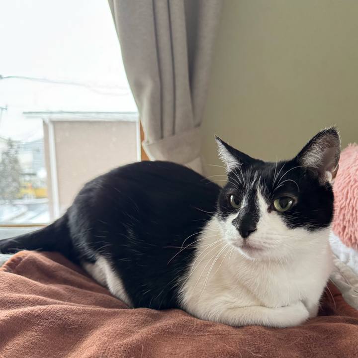 Aa48e056 9c19 4e06 8133 58ce71b17d3f 1770507180374