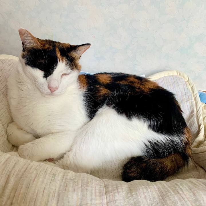 Aa48f8fb 9990 494e 80cc 5b0ab83122a7 1599437586556