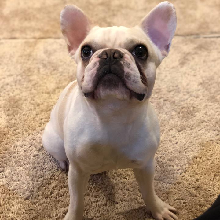 Aa491b0d 0a21 43df 9daa f669789ecfdf 1553443466678