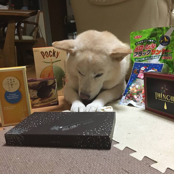 Aa4997e9 6a2d 4d48 9f00 f816e9e0b9e4 1541589299538