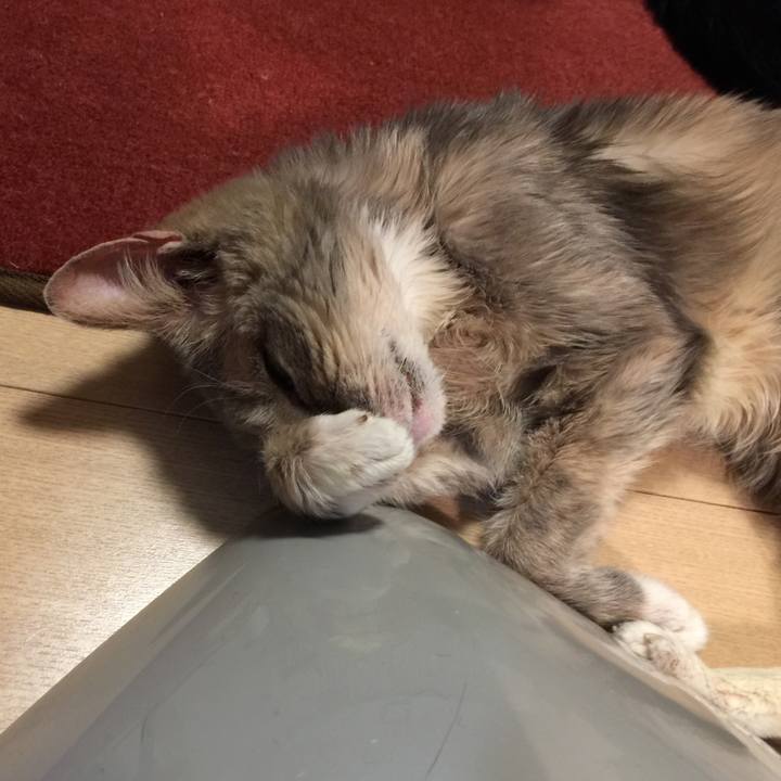 Aa49ea71 8812 4633 be19 3894b253b153 1514119661784