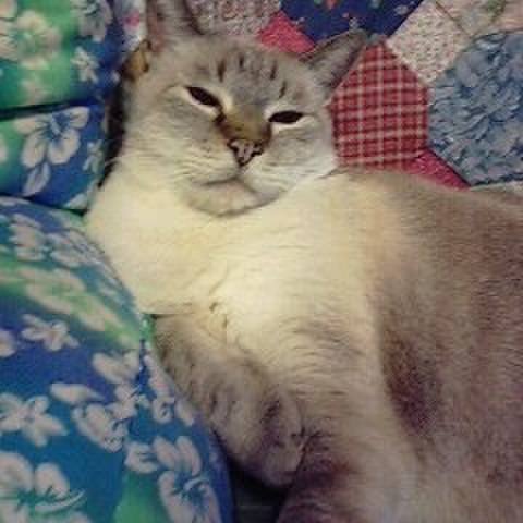 Aa49f456 34fc 419f 9a30 9733b95134de 1514681373768