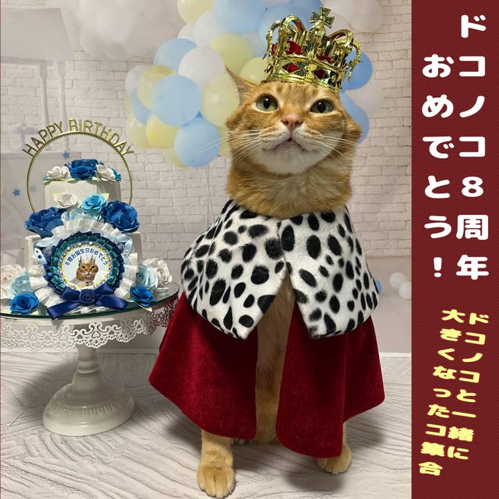 Aa4a2668 c6db 4e36 b738 5d3d680a9083 1717545069099