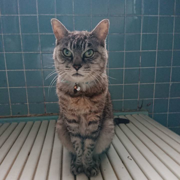 Aa4a6dae 028b 4cc1 a1bb 3030ae3b8b62 1570156396117