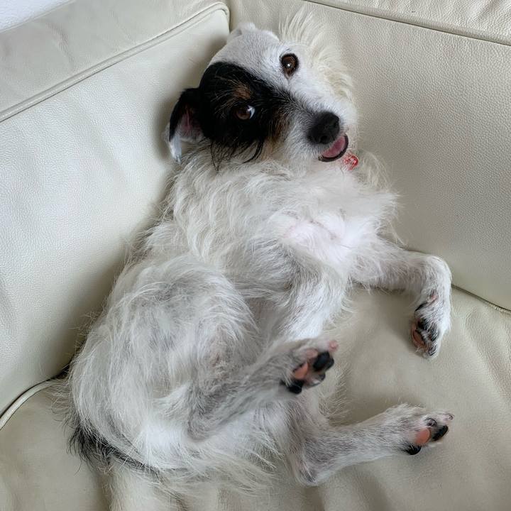 Aa4a7c9f 40d2 496e 9c99 1c812c8d838f 1589942804117