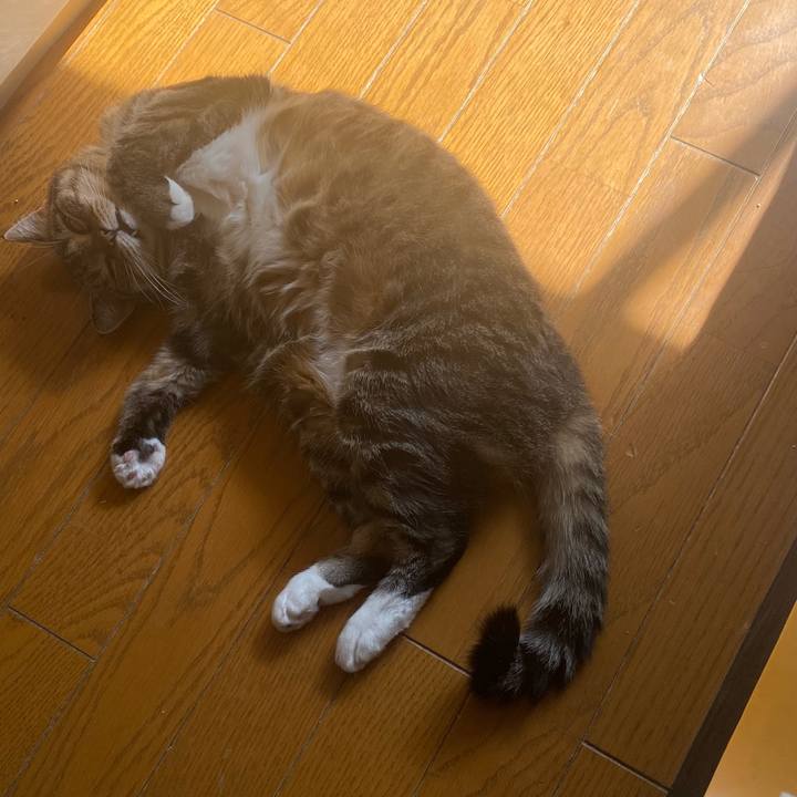 Aa4a9e8b 6c87 464d aa2d 782856ba5e3e 1697252642801