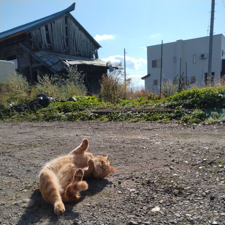 Aa4aa22b 8684 4255 9ed3 073b5fe46f2a 1667439567450