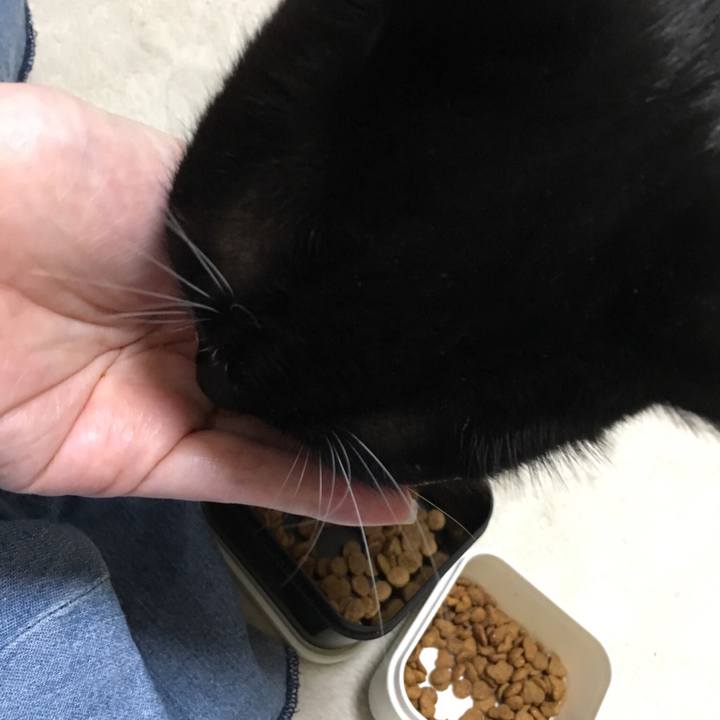 Aa4abb99 1d33 4b71 ac82 e7e3b760c91e 1538920239291