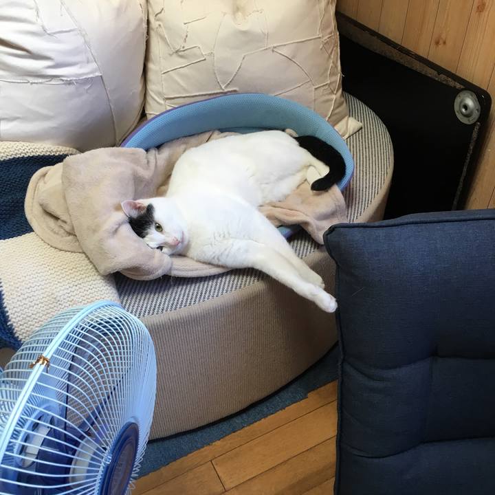 Aa4ac392 8e24 44ce a66f 3b83b49bb1fe 1533797584942