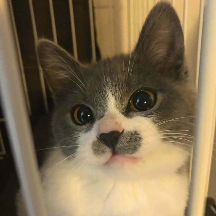 Aa4b15bb 1d15 4232 bba8 025f1d2cb44b 1740040119768