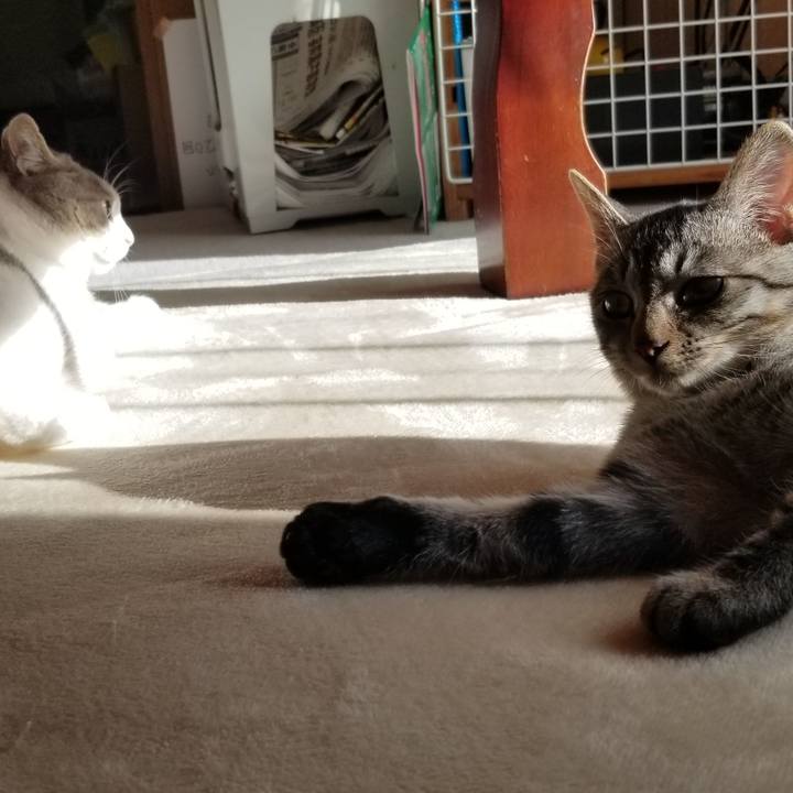 Aa4b1e63 51f5 4870 a381 de935d2954e6 1670425771773