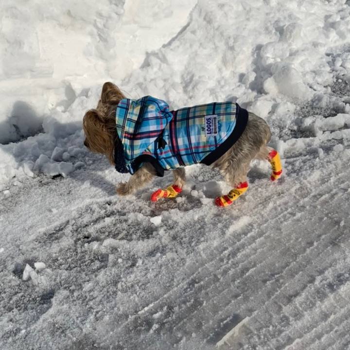 Aa4b313d dea1 4cee ab30 04d756daaa4f 1607764851379