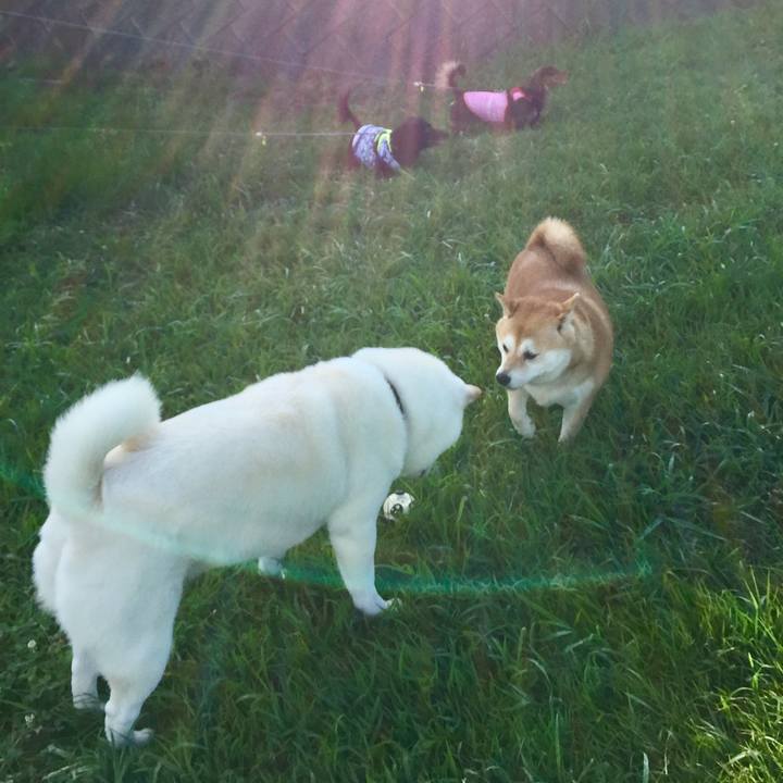 Aa4b3468 de72 40ae b021 f7cff3e1e5b0 1565250336181