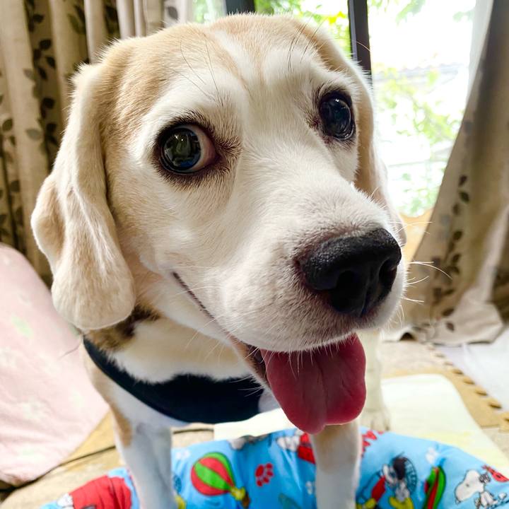 Aa4b52fe d627 4bdb b5d1 bb23a588c2b5 1629171598699