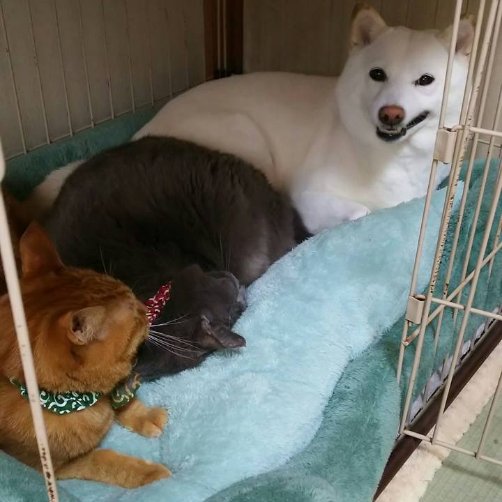 Aa4b5542 287b 490e 9940 a823ba9bf841 1555029436217