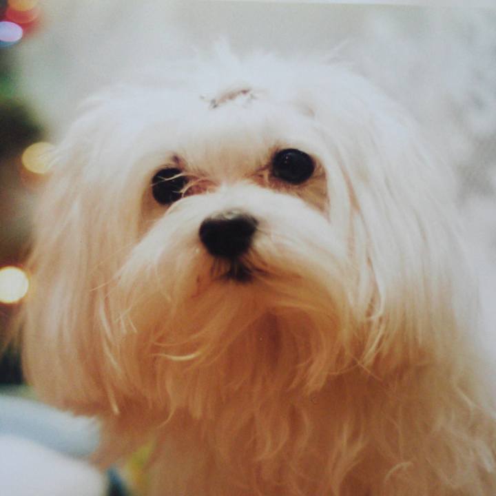 Aa4b9ce3 eece 4704 b6e0 1bfd655cd6f2 1524797749215