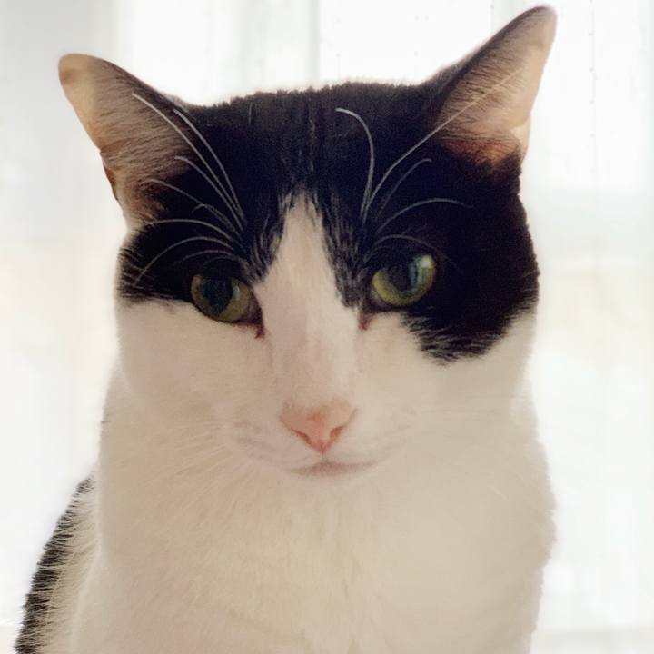 Aa4c03a6 1d8e 4f8e a783 e6beabb7c623 1545097048355