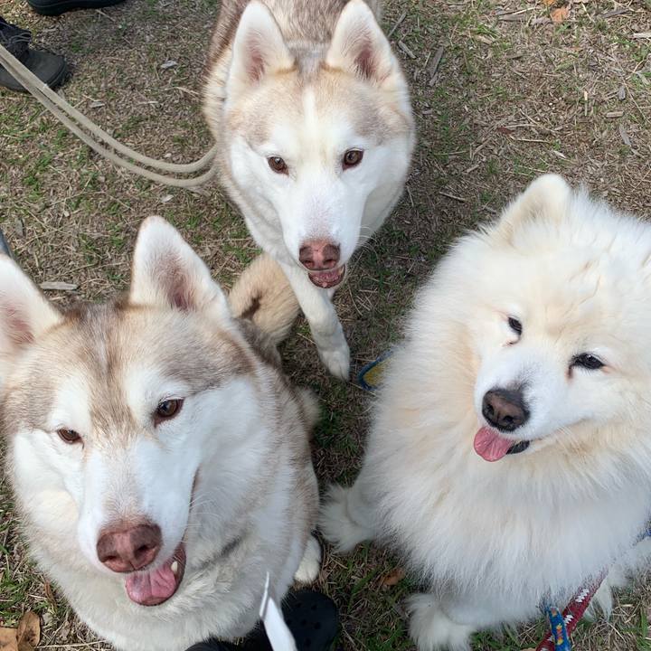 Aa4c23de f44e 424e a2b2 78e5fa575bd3 1681621792521