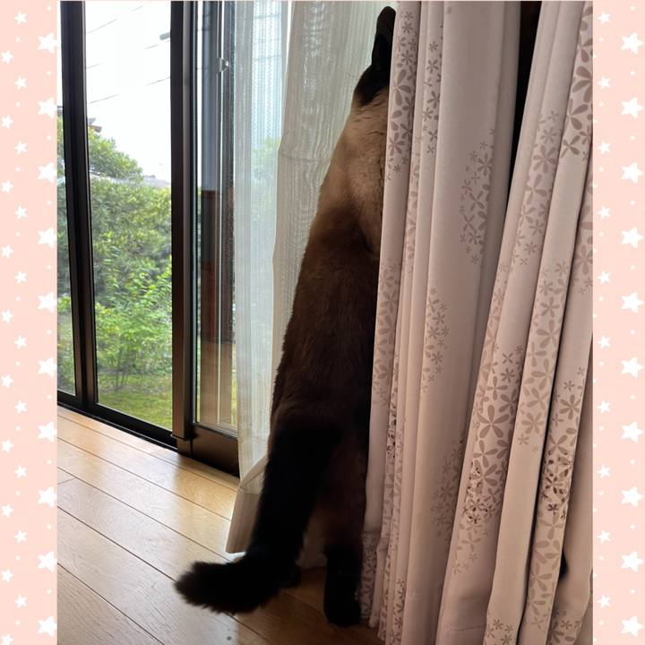 Aa4c8045 d78c 4c13 9ffa 20765e1109a9 1682940474628