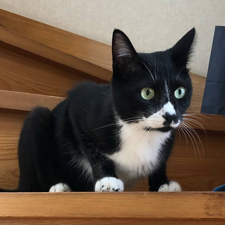 Aa4cd2a5 117c 4261 8590 a17860d809bd 1534823161099