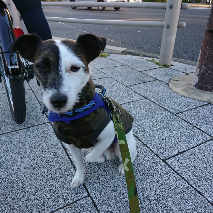 Aa4cef64 95b6 4c94 ba89 3bd5c2f6b578 1514329626911