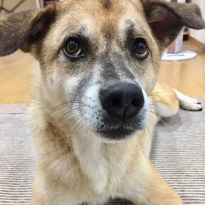 Aa4d410c a633 47ec 8413 216bd469c431 1532651999766