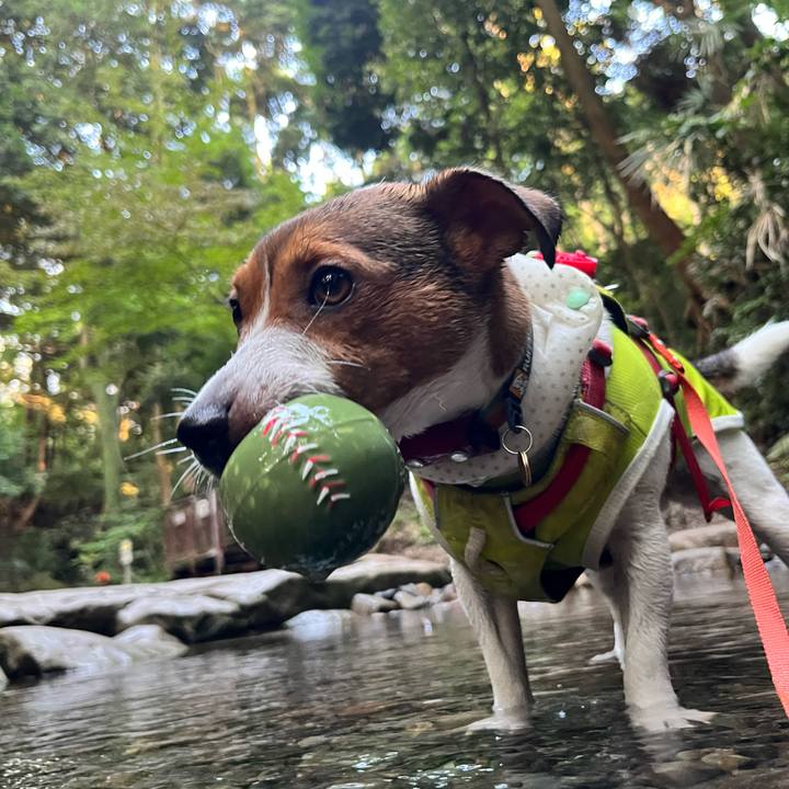 Aa4d916d 59ee 4101 a4d8 383282f52368 1722818640388