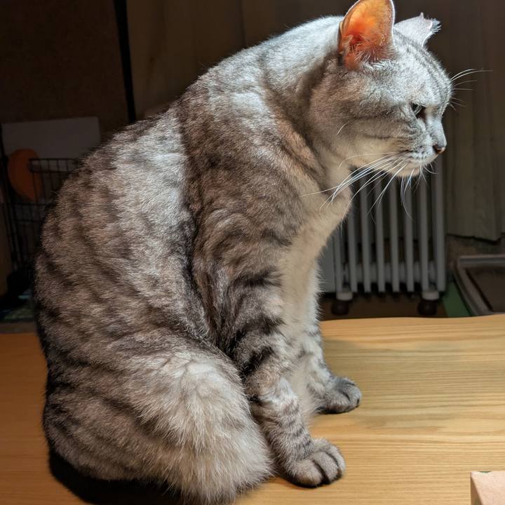 Aa4da7e4 854a 4b70 9b0f c0342f278912 1760464966137