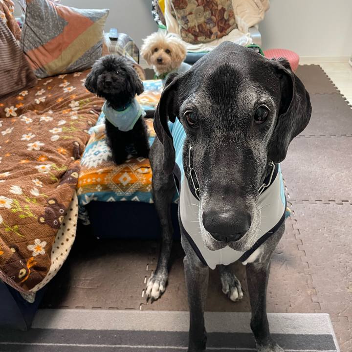 Aa4de0a8 50bf 41f0 8e08 1f4cf5d358ff 1647298494923