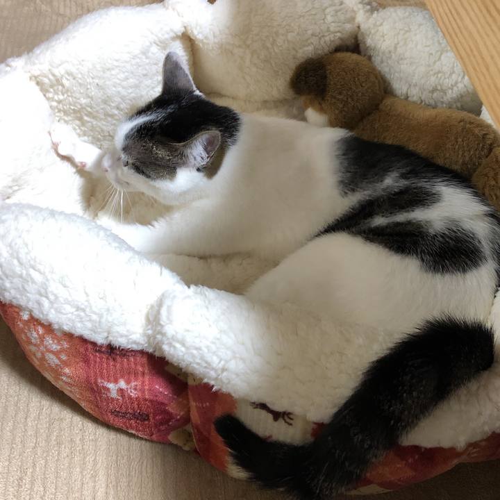 Aa4df4ad 67a7 4651 ba6a e99e985445ed 1608120328380