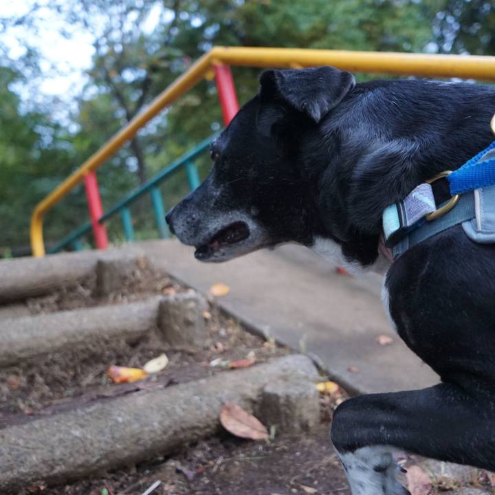 Aa4e0adb dd1c 4802 84a5 4006da5ddc24 1762388848367