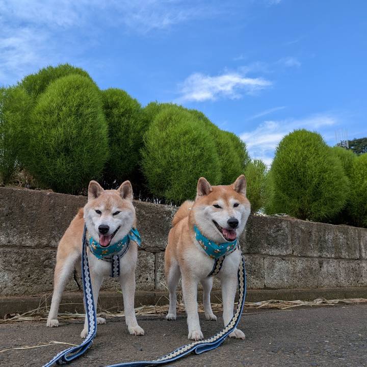 Aa4e3e4d c4f1 449b adde cc15683bf256 1754539842961