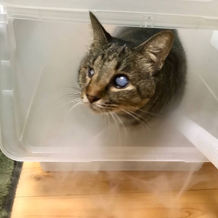 Aa4e4eca 988e 4109 9d38 d46a0e3ea827 1603458969992