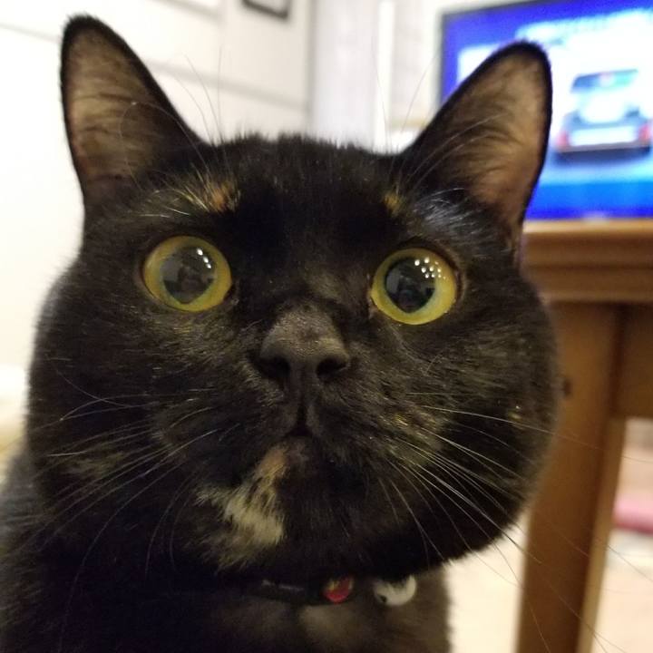 Aa4e58bd 0077 430e ab6a 16647ed9168c 1521555732226