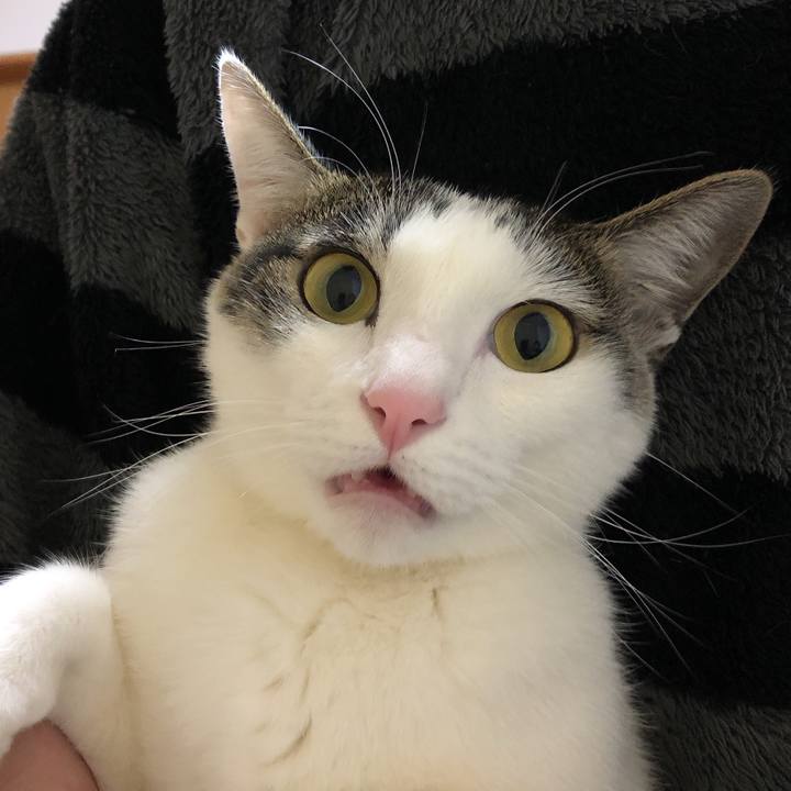 Aa4e63da 74c9 4ca1 90dd edc0f2c9b35f 1609851994410