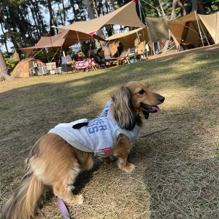 Aa4e9c1b f6ce 4b24 a206 fff7e3a89719 1699069434908