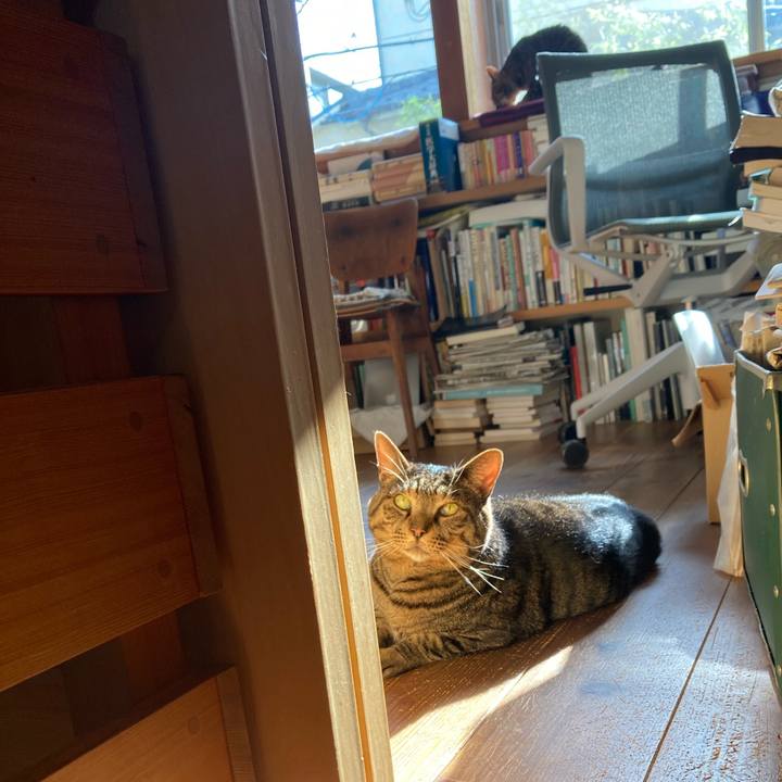 Aa4eac11 63a8 4867 a83b 37e4acafb0ab 1775430118274