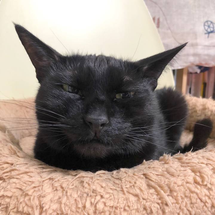 Aa4eed46 0287 4668 9ab7 020a884f2b72 1588160697098