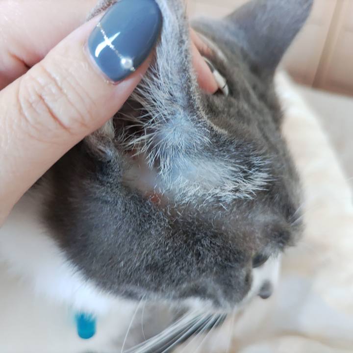 Aa4f0207 8e8f 420a b354 f4785d9aac4b 1695527951768