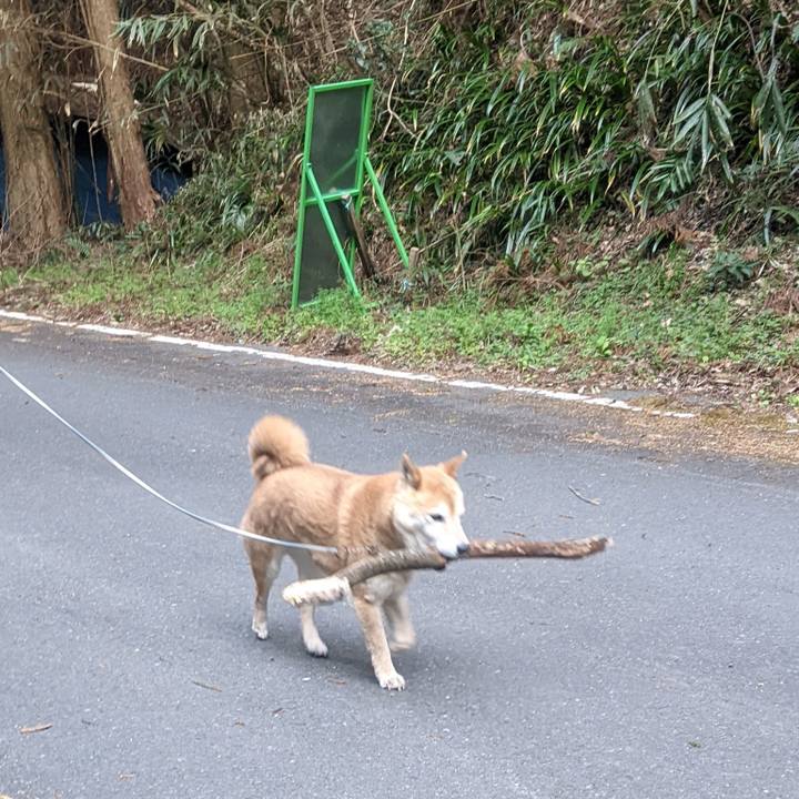 Aa4f4495 253a 4281 b832 9328bfa00376 1742891614672