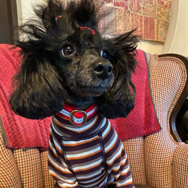 Aa4f4674 3073 448e a030 1b96e760438d 1639203363494