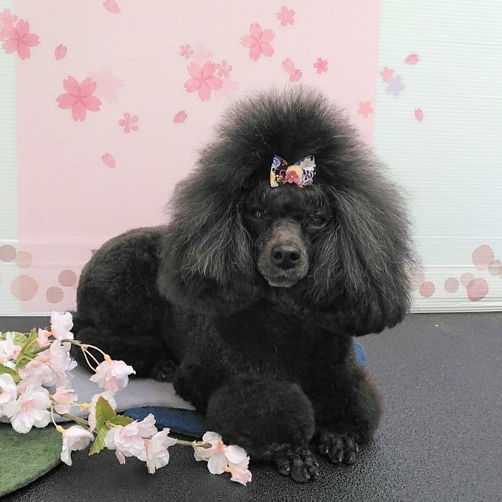 Aa4f6388 93e6 4eab 81d5 de266b2aa51d 1646110081986