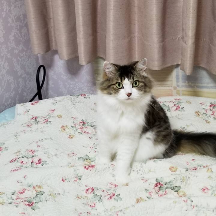 Aa4f961e a60a 4cbf a032 018fd68fb4e3 1567115929594