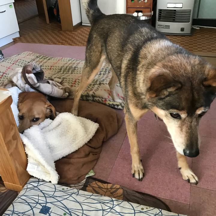 Aa4f9f3b 2830 483a ad14 eb06d374f0c1 1563712953010