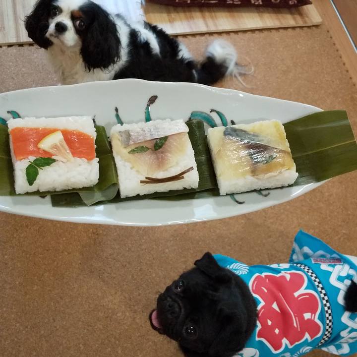 Aa4faa56 785d 45a7 bd2b f4492ddfbbcb 1565149012365