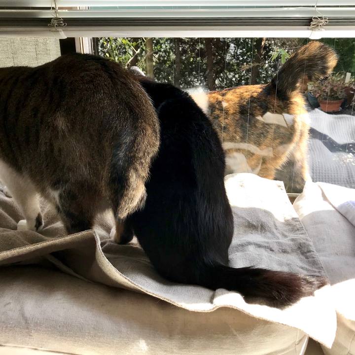 Aa4fc44b a738 4839 8da5 6faf5a844411 1522125743638