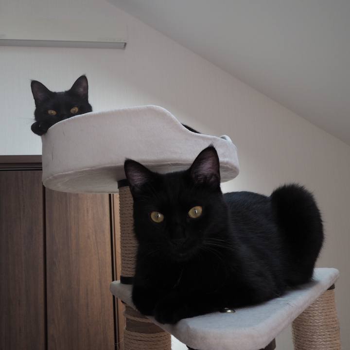 Aa4fe15f 0557 415d 9f8e eee69944603b 1537150657041