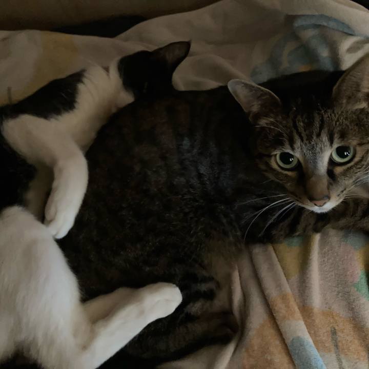 Aa500269 c5f5 419d 9eb7 be52c584b461 1619061991737