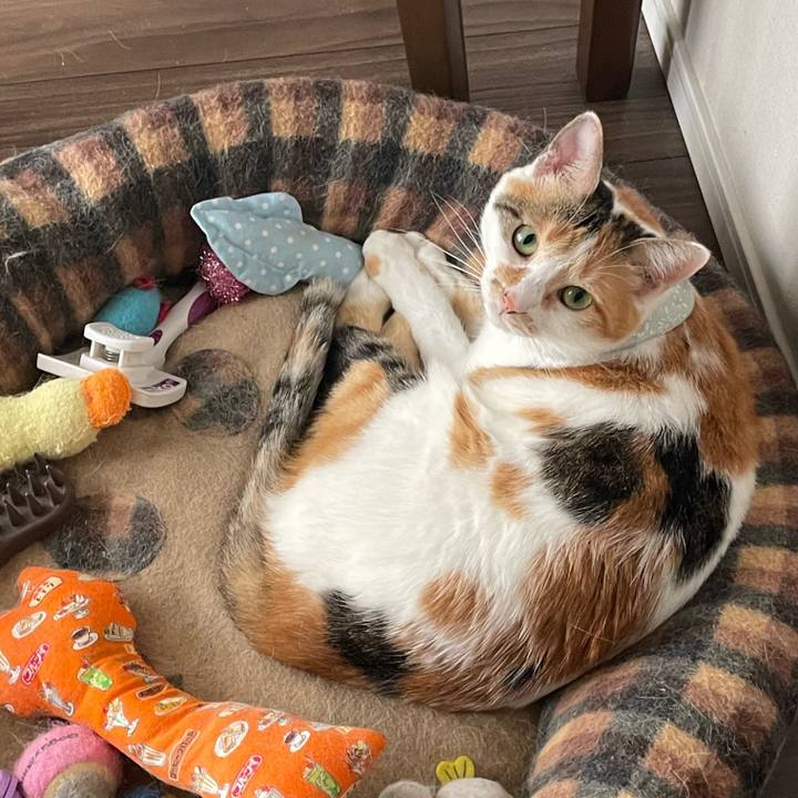 Aa5029de ab24 4409 a345 b407b45e01fb 1662680297890