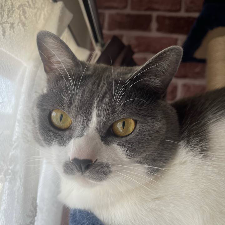 Aa502dad 408f 4fa0 9a5f b6f51579953c 1646702149119